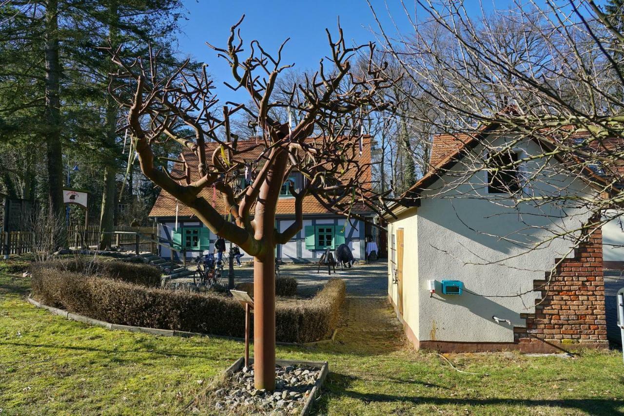 Ferienwohnung 3 - Gourmetzimmer Bestensee Exteriér fotografie